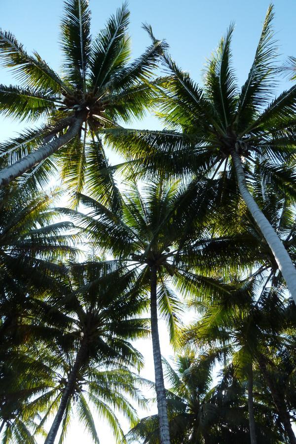 Kadidiri Paradise Batudaka ภายนอก รูปภาพ